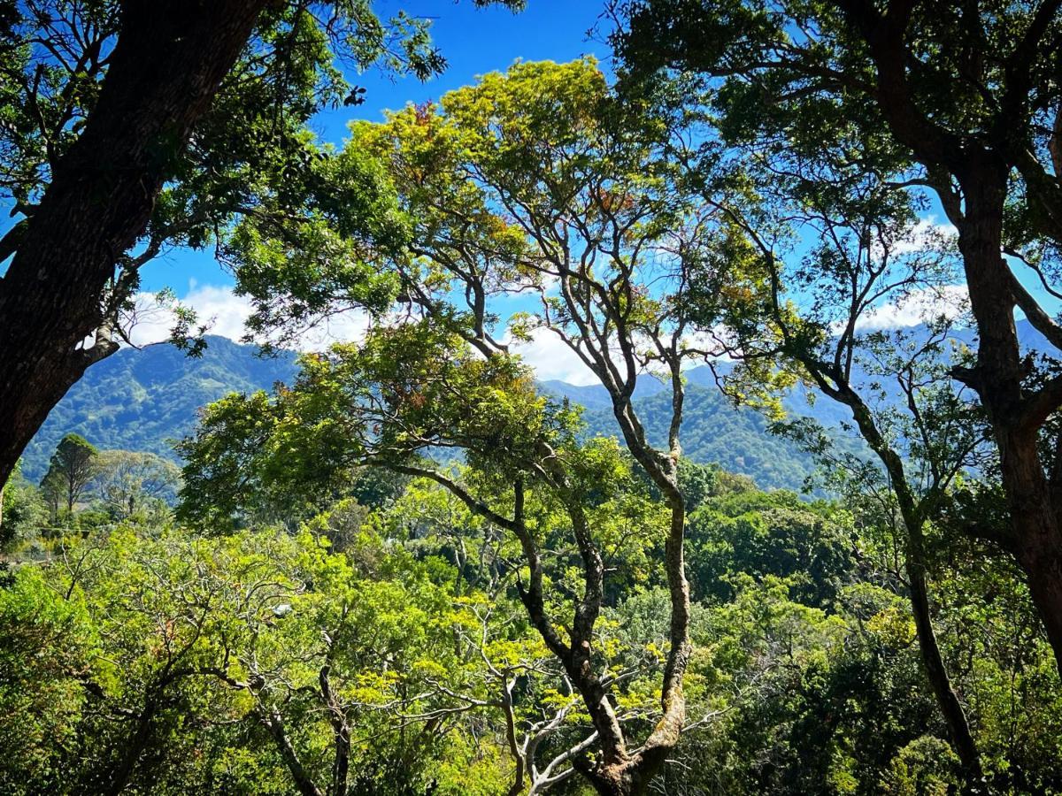 Finca Panda Boquete Exteriér fotografie